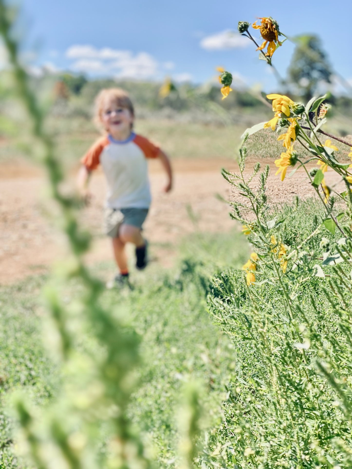 Eco All-day Play Swim Shorts in Desert Sage